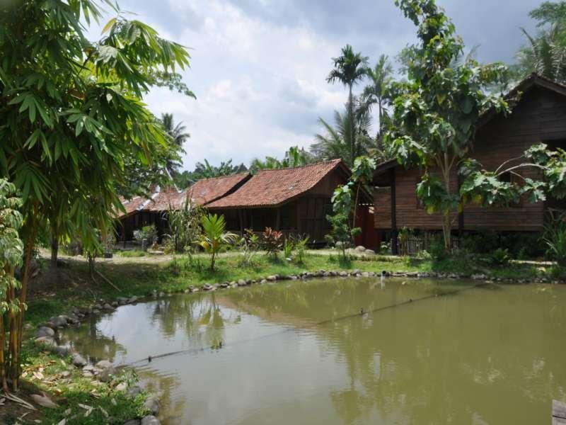 The Pikas Resort Wonosobo Exterior foto